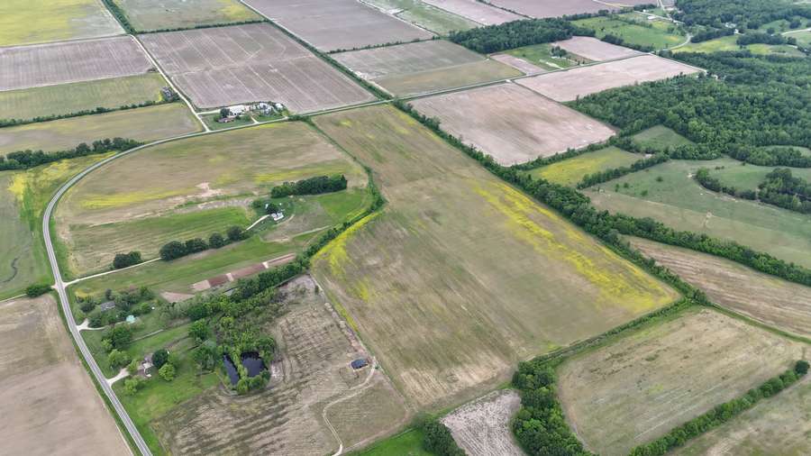 108 +/- Farm Land Stoddard County MO